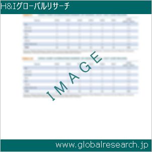 グローバルリサーチ調査レポートのイメージ